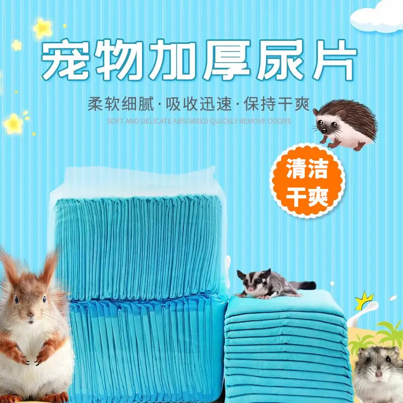 Pet Training Diapers Sugar Glider Pad Dogs And Cats Absorbent Diapers Urine Absorption Urine Pad Cleaning Squirrel Supplies