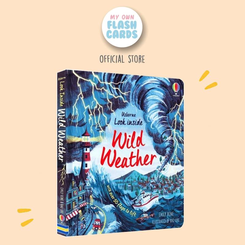 Usborne Look Inside Wild Weather with over 50 flaps - ted Children ...