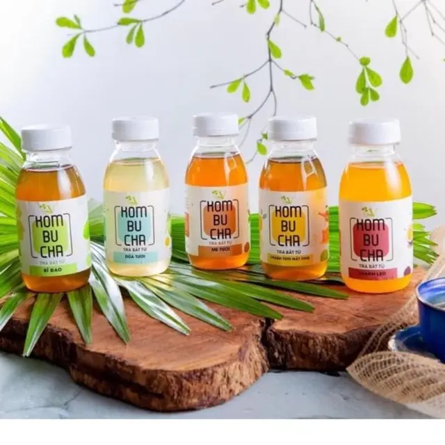 KOMBUCHA VGREEN- Trà vị hoa quả 250ml Nước Trà Tea