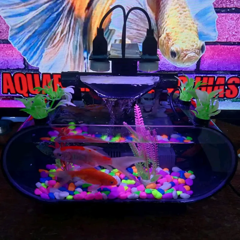 Akuarium akrilik Ikan Hias 2