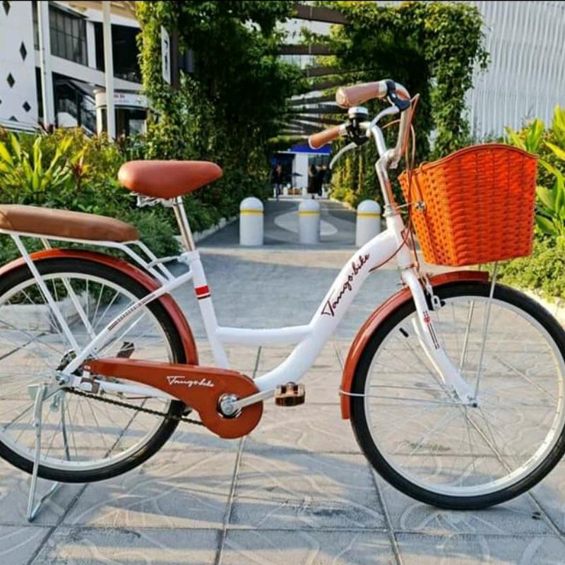 Xe Đạp Mini Nữ 24/26 Inch Hàng Việt Nam