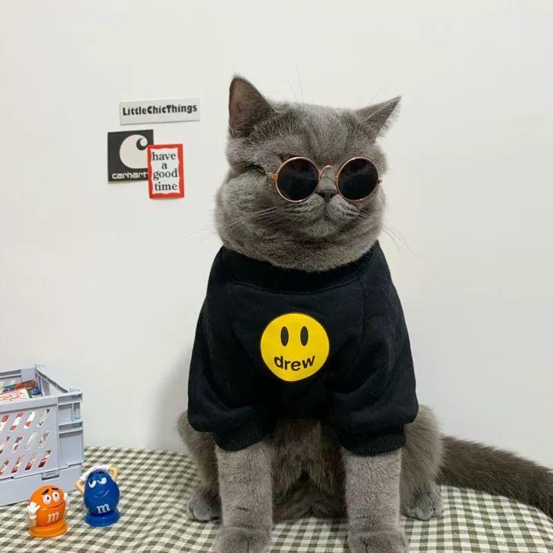 Product Introduction of เสื้อผ้าแมว, แบรนด์แฟชั่นฤดูใบไม้ร่วง, แมวอังกฤษสั้นสีฟ้าน่ารัก, เหมาะสำหรับฤดูใบไม้ร่วงและฤดูหนาว, กระเป๋าเป้แมวสัตว์เลี้ยงลูกแมว, เสื้อผ้าหน้าหนาว, กระเป๋าใส่แมวที่อบอุ่น, กระเป๋าใส่แมว, กระเป๋าใส่แมว 5