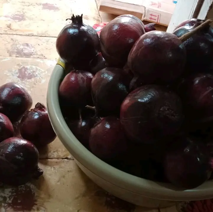 Buah Delima Hitam Asli Muria Zuriat untuk Kesehatan dan Kehamilan - Makanan, Anggur, Mangga, Frozen, Gula Manis 2