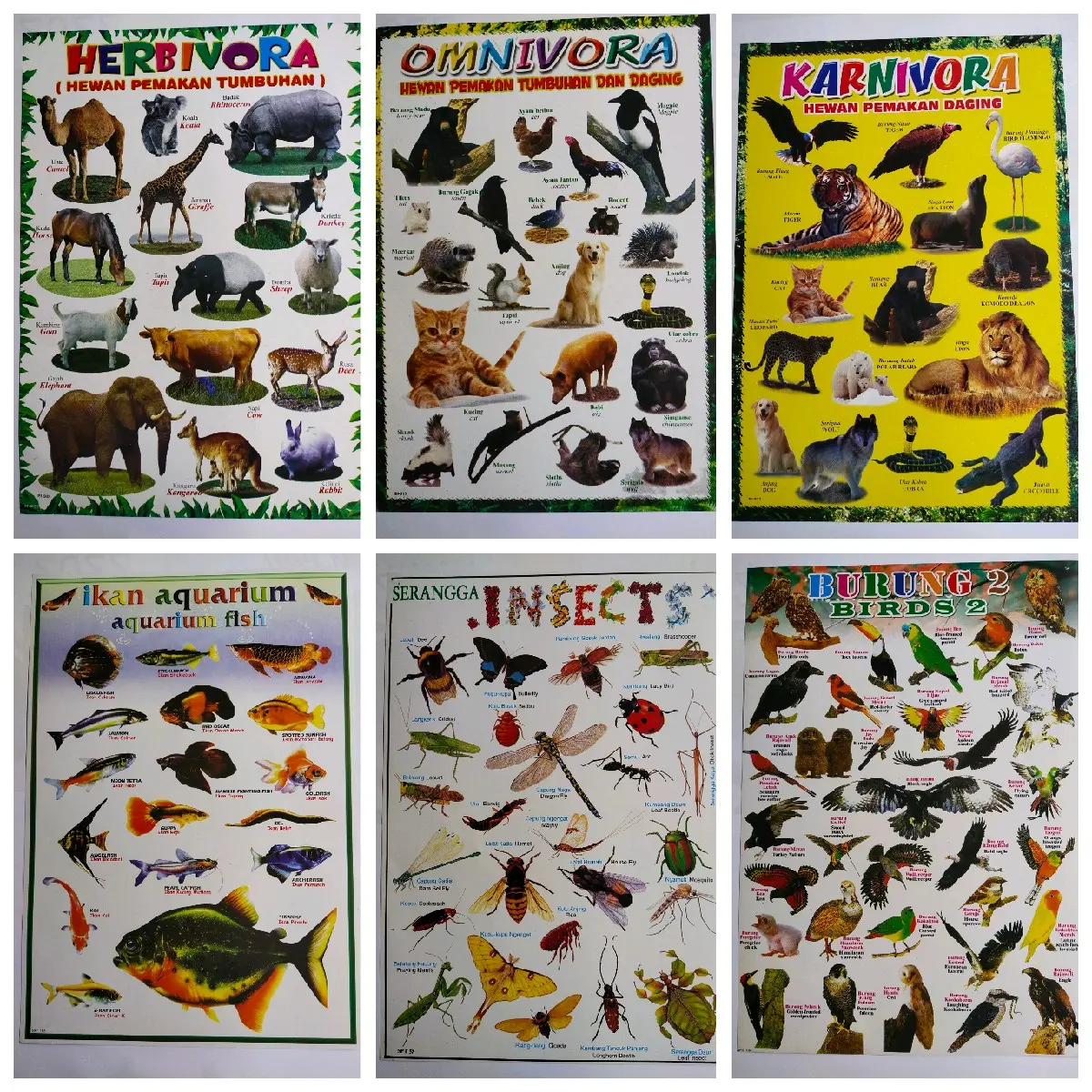 Poster Gambar Hewan l Poster Edukasi Anak l Herbivora l Karnivora l Omnivora l Dll. Stationery