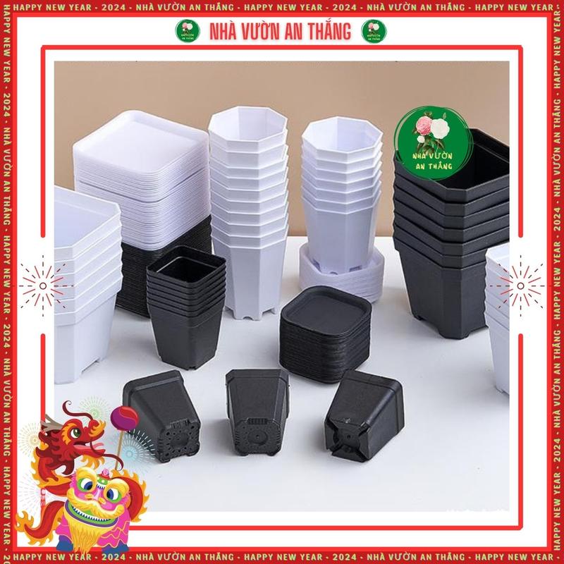 COMBO 5 chậu nhựa vuông ươm hạt trồng cây con sen đá nhiều màu