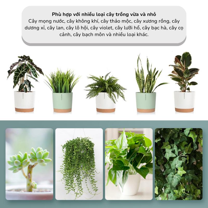 Product Introduction of Chậu trồng cây tự tưới thông minh MONROVIA cho hoa, cây cảnh trong nhà và ngoài trời hình trụ tròn 8