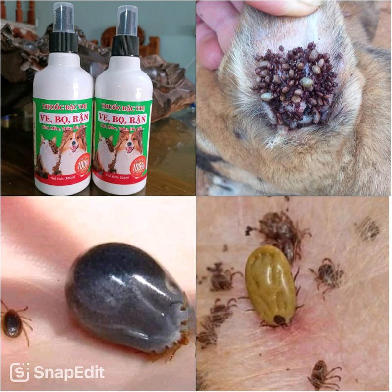 combo 2 chai xịt ve bọ rận cho chó mèo - tổng 2 chai 600ml