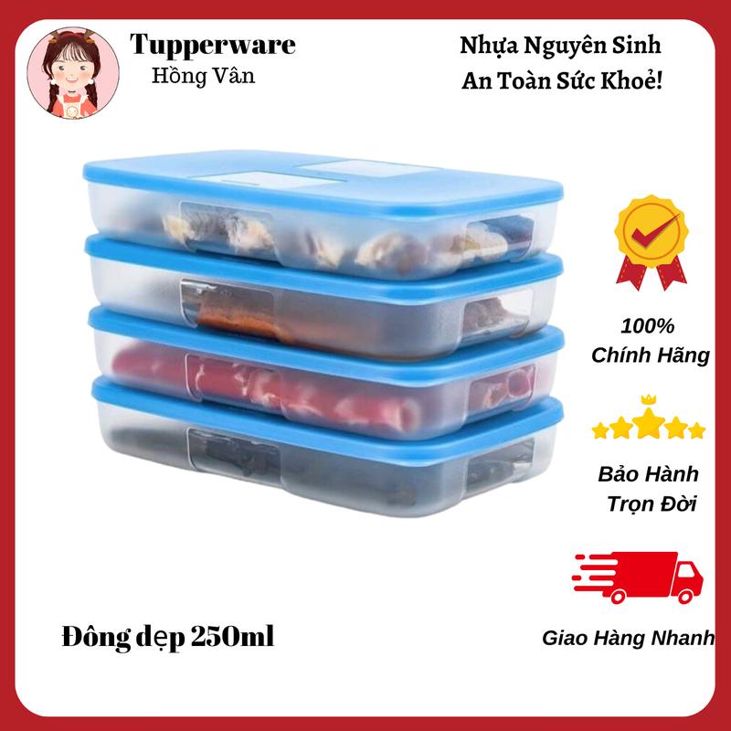 Hộp Đông Tupperware 250ml Nhựa Nguyên Sinh An Toàn Sức Khoẻ