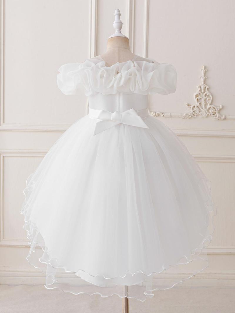 Product Introduction of Flower Girl Embroidery Sequin Decor Tulle Formal Dress, Elegant A-Line Dress for Party Wedding Guest, Kids Clothes for All Seasons 8