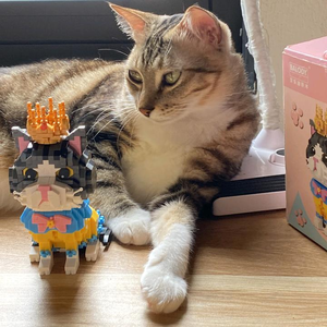 Nhà Méo - Tiệm Đồ DIY & Gift