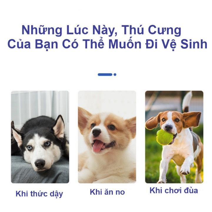 Lọ Dung Dịch Xịt Huấn Luyện Đi Vệ Sinh Đúng Chỗ Cho Chó Mèo - Nước Hướng Dẫn Đi Vệ Sinh Cho Thú Cưng 6