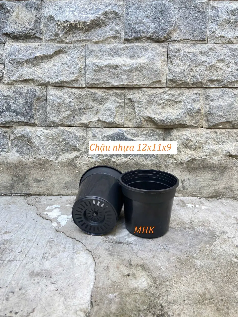 Chậu nhựa cứng 12x11 (cm) chậu cây Thakico ! Màu đen / Màu trong suốt !