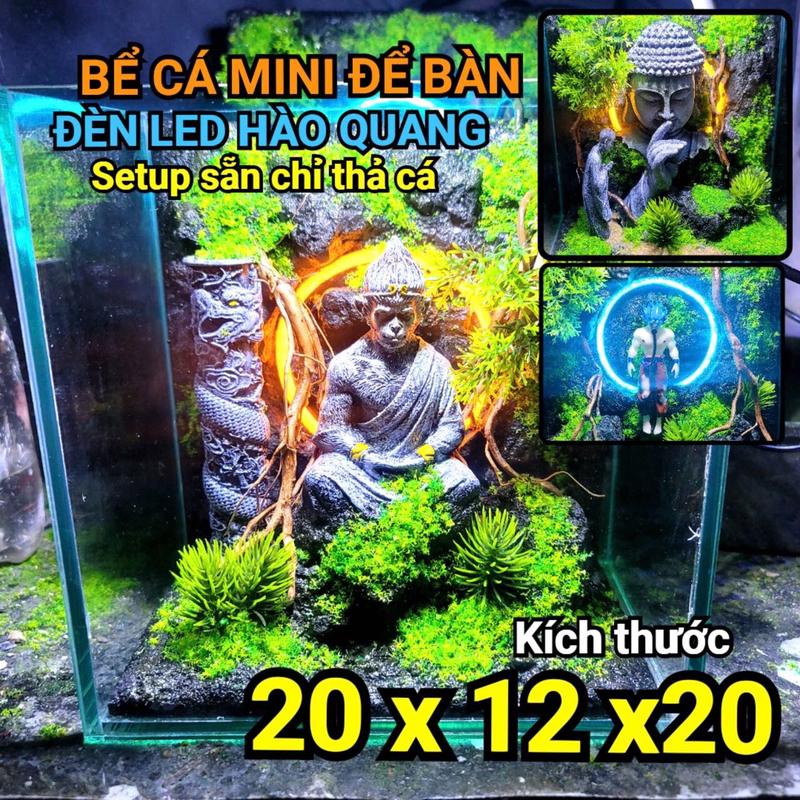 Bể cá mini để bàn size 20x12x20, layout setup sẵn ngộ không ngồi thiền, goku hồi sức, phật, dễ chơi, dễ chăm sóc vệ sinh bể cá nuôicá