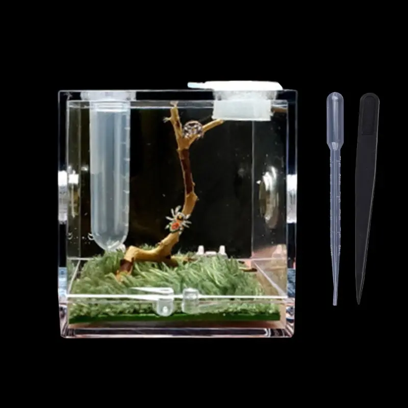 HEHUS pider Habitat Feeding Cage for Nano Breeding Box for Spiders Grasshopper Cricket Scorpions Mantis Beetle and Small Rept