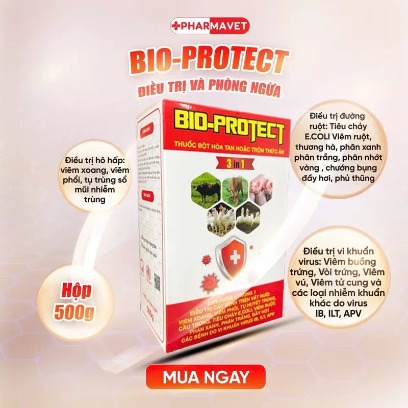 BIO-PROTECT THUỐC PHÒNG VÀ ĐIỀU TRỊ BỆNH CHO VẬT NUÔI gói (100g) viêm phổi và thương hàn, tụ huyết trùng, crd, tiêu chảy, viểm ruột, e coli, sỗ mũi nhiễm trùng, phân xanh trắng, chướng bụng, đầy hơi 8