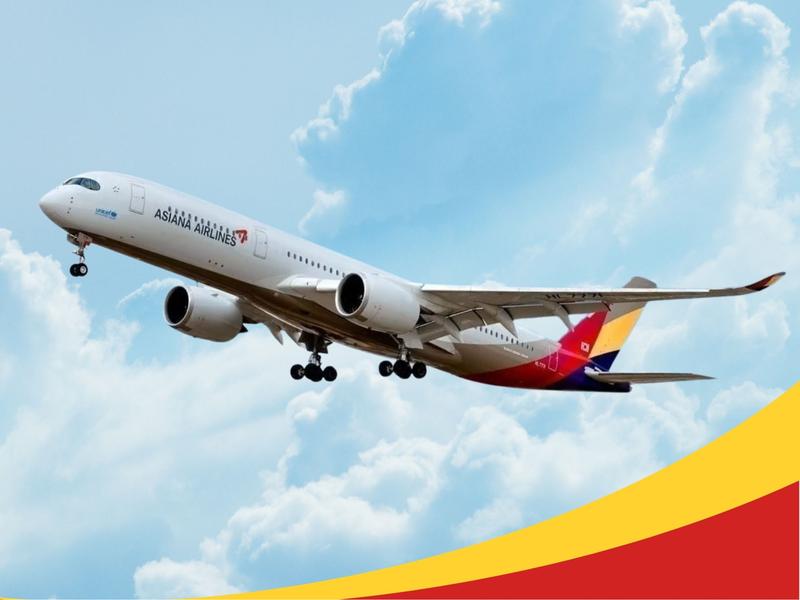 Mô Hình Giấy Máy Bay Thương Mại AIRBUS A350-900 Asiana Airlines
