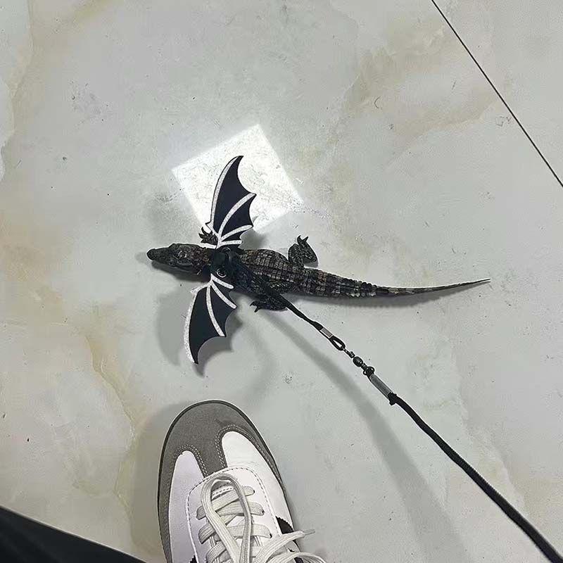 Product Introduction of [Three-Piece Set] Little Crocodile Lizard Outdoor Costume Little Devil Leash with Wings Reptile Little Crocodile Clothes 10