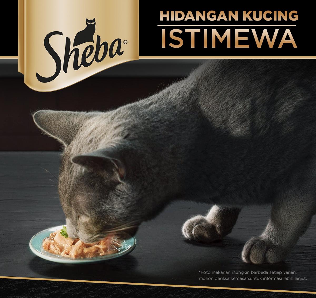 Product detail media - 1