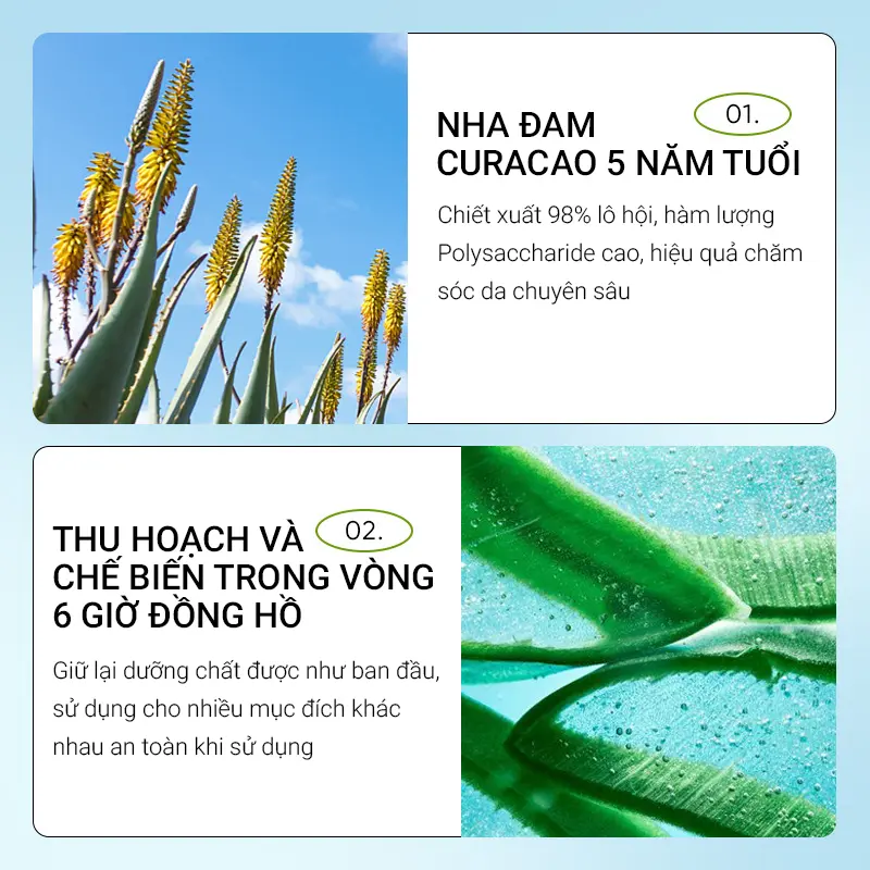 lô hội son môi dưỡng ẩm son dưỡng giảm thâm môi chăm sóc môi 2.7g làm sáng đường viền môi làm sáng môi nhỏ và dễ dàng ma Cosmetic Skincare Nữ Women có màu 8