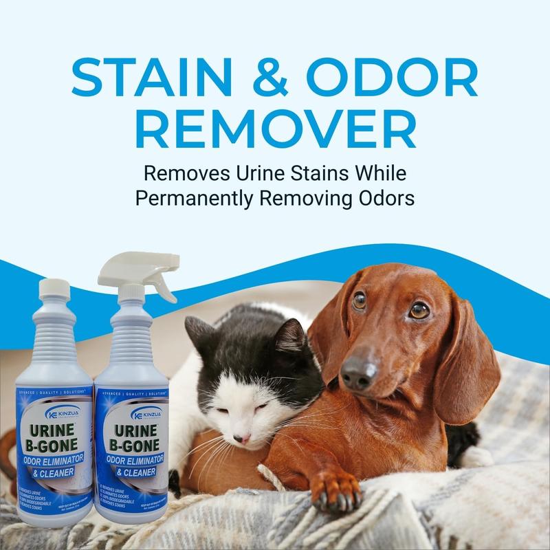 Dog urine smell eliminator hotsell