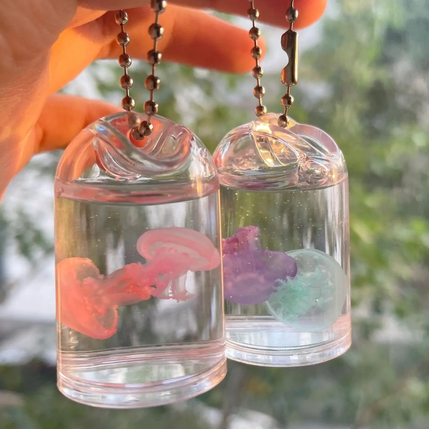 Mặt Dây Chuyền Mẫu Tảo Mặt Trăng Đỏ, Nhiều Màu Sắc, Được Làm Bằng Tảo Thật, Thích Hợp Cho Vật Nuôi Biển, Lý Tưởng Cho Học Sinh Và Trẻ Em, Có Thể Được Sử Dụng Làm Móc Chìa Khóa Cặp Sách móckhoá sứa nhântạo Charm Trang Trí móc khoá  sứa móc  khóa móc  khóa