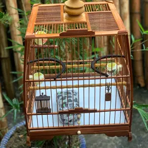 Long chim truong mai 1993