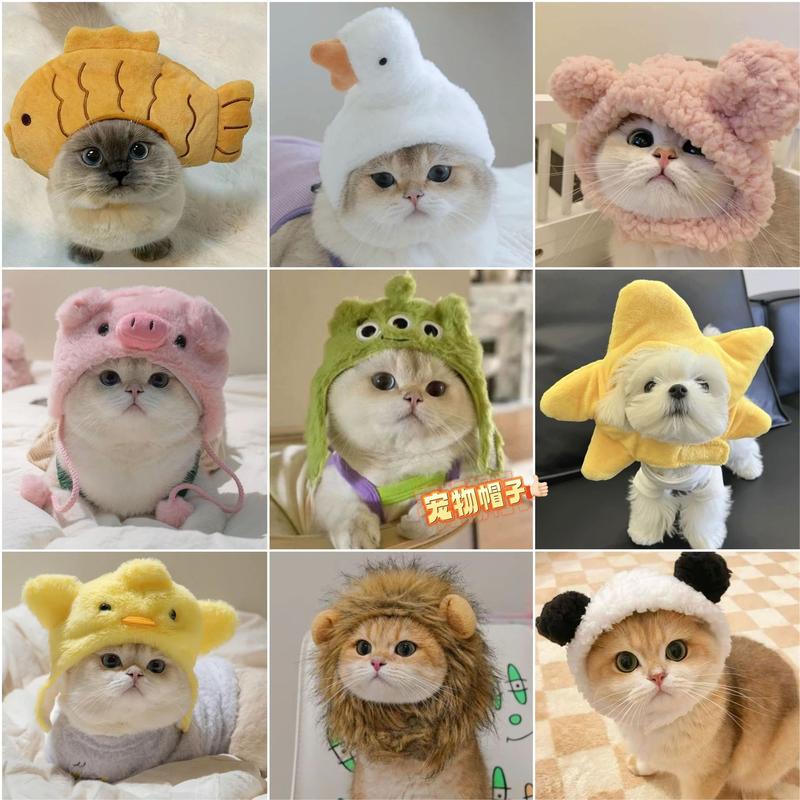 Product Introduction of Funny Pet Costumes: Starfish, Bream, Pig, Chicken, Bear, Panda Headbands for Cats & Dogs 0