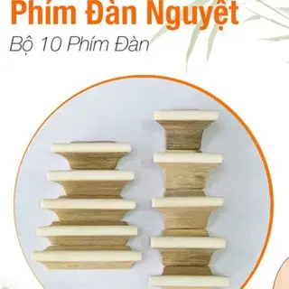 Bộ Phím Đàn Nguyệt Loại Tốt - 10 Phím Cật Tre 4
