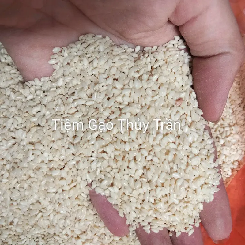 1kg Vừng Trắng (Mè Trắng) Điện Biên Hút Chân Không 500g/túi (Đã tách vỏ) 4
