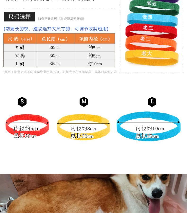 Product Introduction of Vòng Cổ Phân Loại Thú Cưng, Hàng Mới Về Năm 2025, Dành Cho Mèo Con Và Chó Con, Vòng Cổ Nhận Dạng, Thích Hợp Cho Chó Con Và Mèo Sơ Sinh, Vòng Cổ Thứ Tự Sinh, Thích Hợp Cho Chó Sữa 7