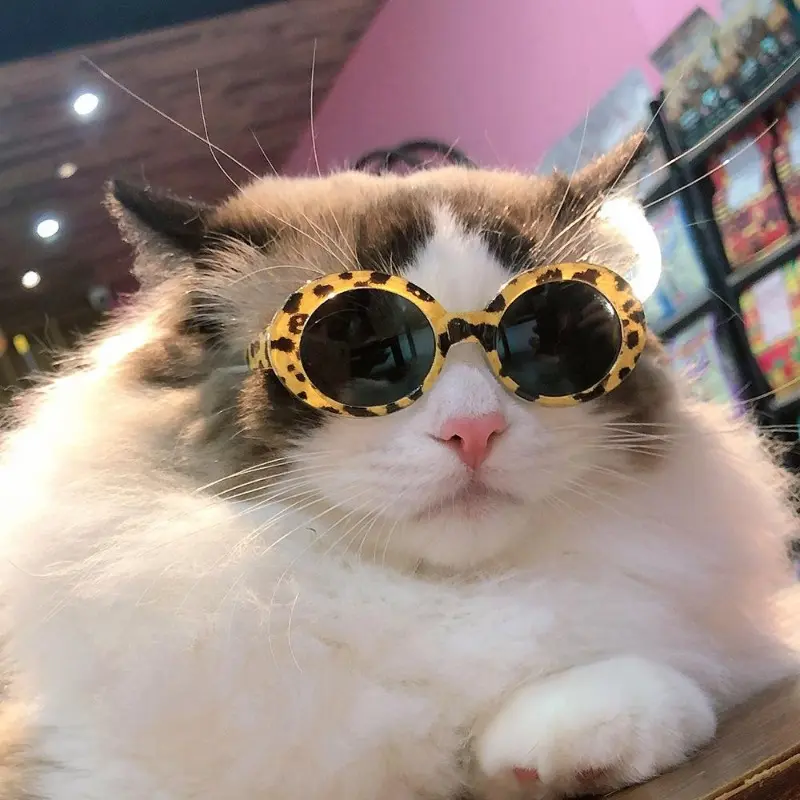 Lovely Vintage Round Cat Sunglasses Reflection Eye Wear Glasses for Small Dog Cat Pet Photos Pet Products Props Accessories