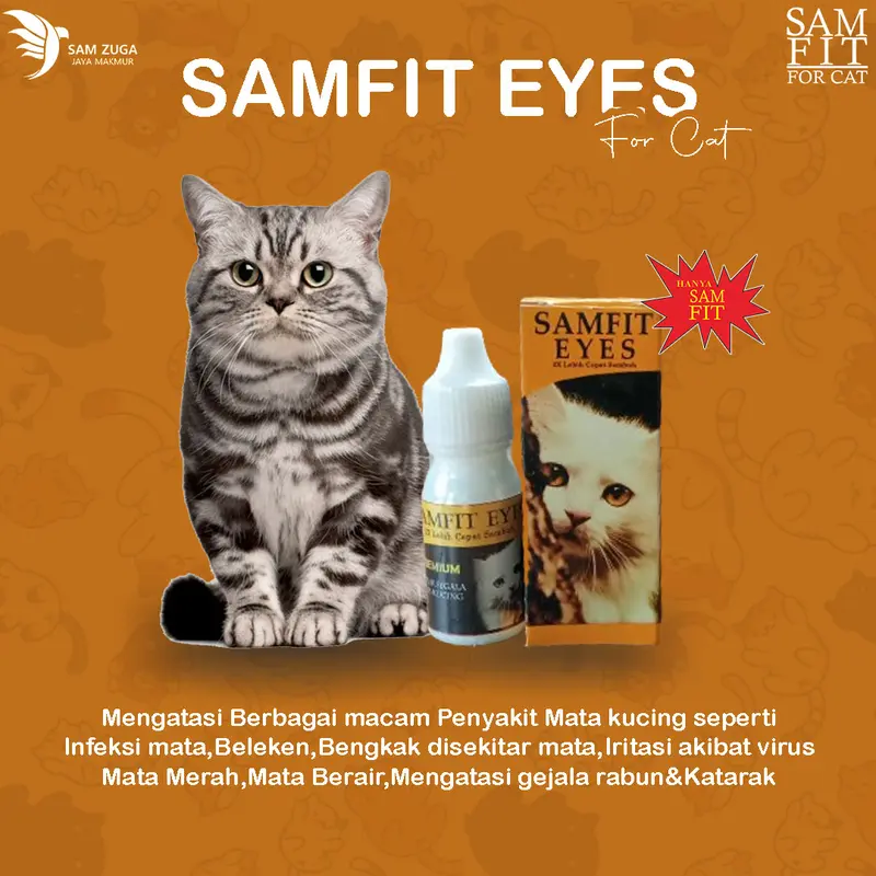 SAM FIT EYES FOR CAT mengobati berbagai penyakit mata pada kucing 3