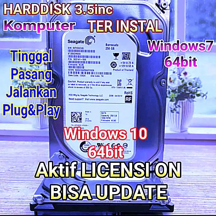 HDD PC 3.5INC 250GB siap pakai terinstal windows 7&10 aktif
