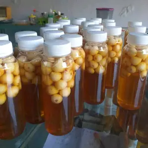 Madu bawang lanang 350ml
