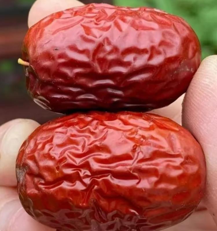 Sỉ 10kg Các Size Táo Đỏ Nhà Minh An - Thơm Ngon Hàng Khô Tự Nhiên- Minh An - Snack Ăn Vặt Food Thức ăn Táo Đỏ Đồ Ăn Nhẹ Khô Ăn Vặt Đồ Ăn chua cay có hạt