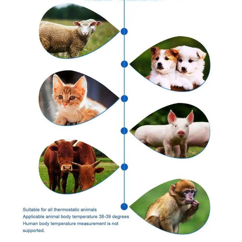 Product Introduction of Pet Dog Cat Ear Digital Thermometer Animal Thermometers For Cats Animal Measuring Non-Contact Electronic For Home and Clinic Use 20