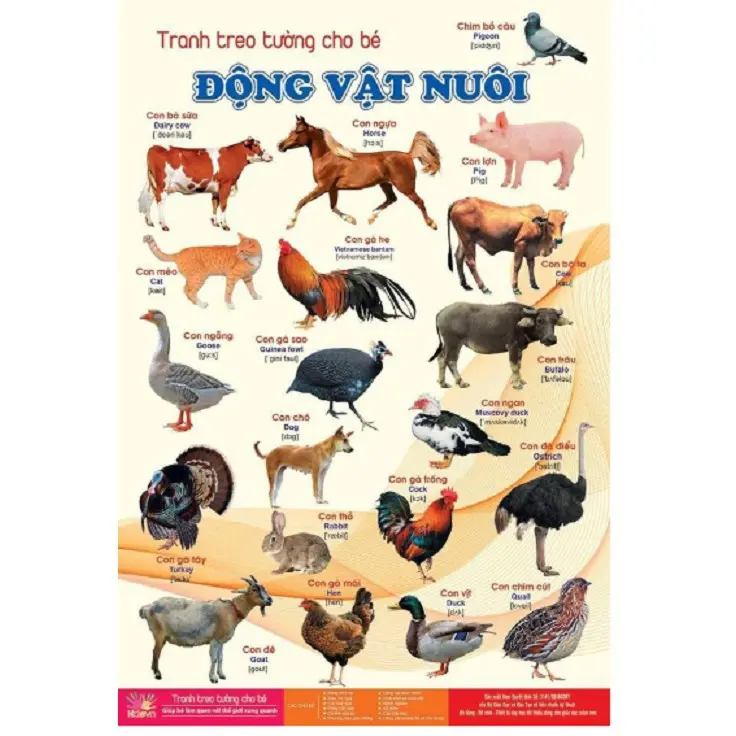 BỘ TRANH TREO TƯỜNG VỀ THẾ GIỚI XUNG QUANH 14 CHỦ ĐỀ CHO CÁC BÉ (39K LÀ GIÁ CẢ BỘ GỒM 14 CHỦ ĐỀ) 1