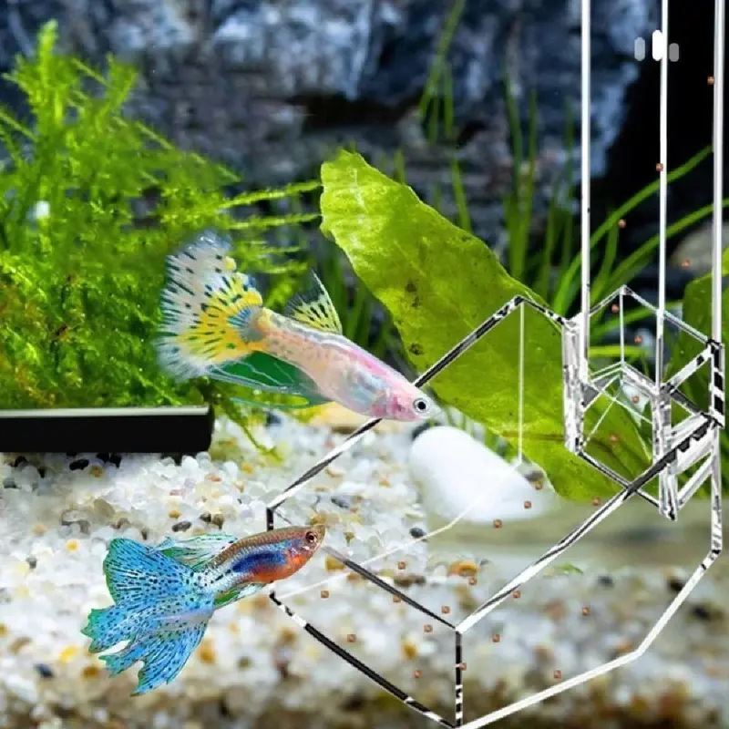 Tempat makan ikan Akrilik 17/28/38CM  Acrylic Feeding Tube /Fish Tube Feeder Aquarium 5