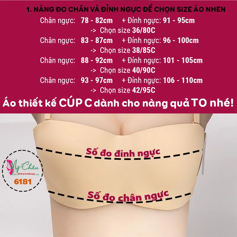 Áo ngực Bᶖgsize cúp C, quả ngang, Sisterhood 6181 chống tụt, áo lót Thái vải su bản lớn, không mút, có gọng, Mỹ Châu 1
