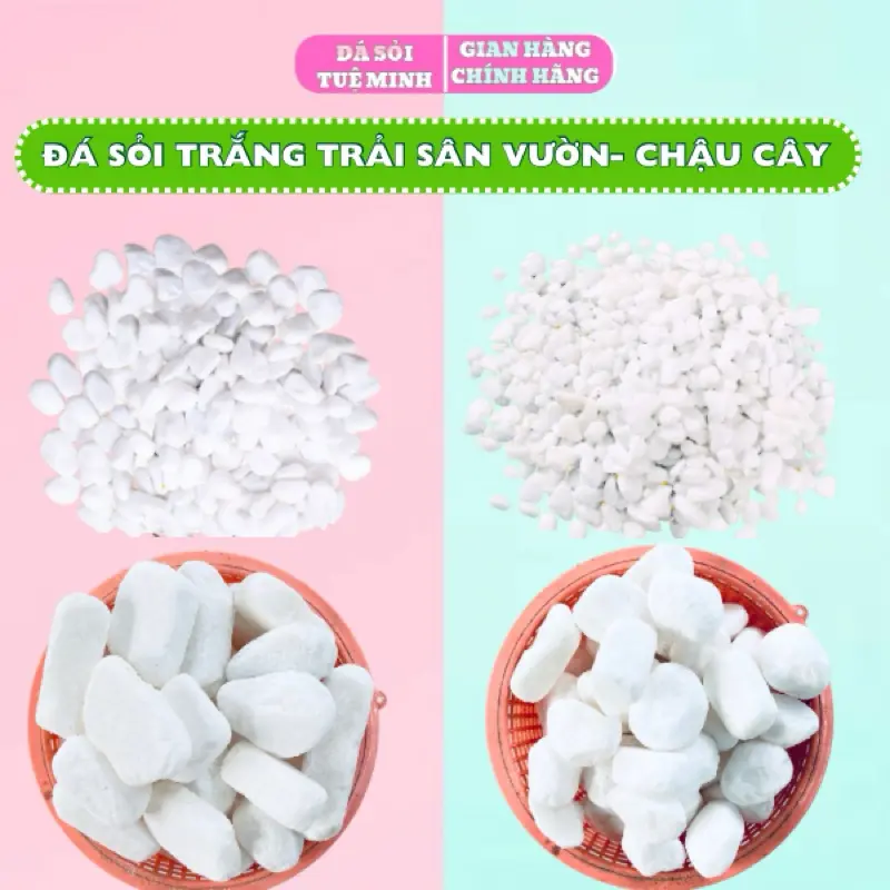 Đá Sỏi Trắng Trang Trí Chậu Cây, Hồ Cá, Trải Sàn Nhà, Trang Trí Sân Vườn, Quán Cafe, Sỏi Trắng Đẹp thuỷ  sinh 7