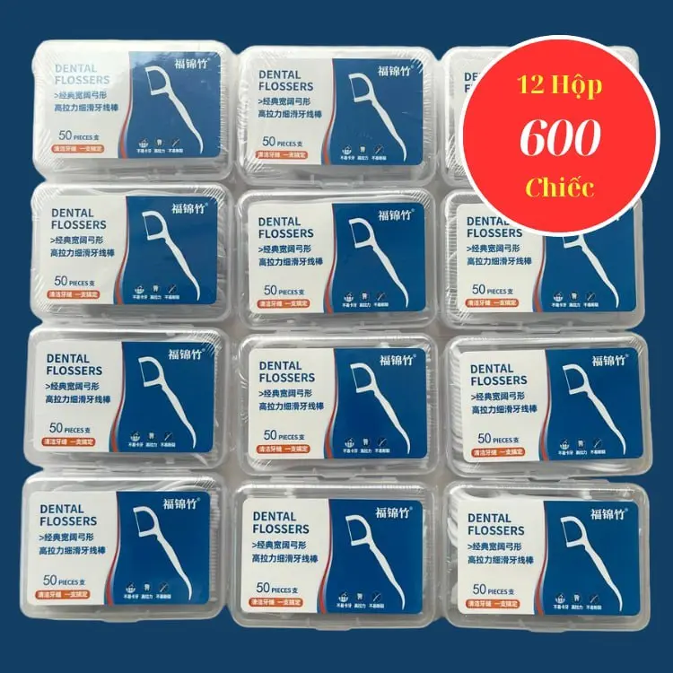 Combo 12 Hộp 600 Loai XỊN Chiếc Tăm Chỉ Nha Khoa Xỉa Răng, Vệ Sinh Sạch Sẽ Kẽ Răng Chân Nướu Chăm Sóc Răng Miệng Xay Sinh Tố tăm  chinhakhoa