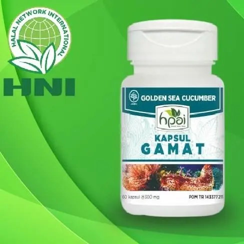 kapsul gamat hni hpai || Isi 60 Kapsul 0