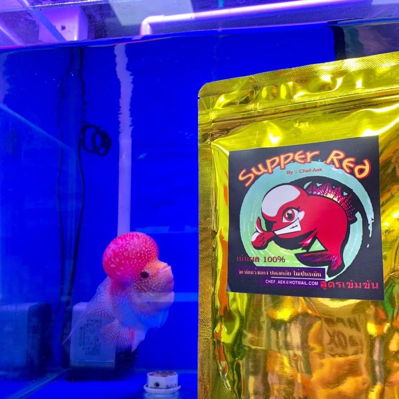 Thức Ăn Lên Màu Cá La Hán Super Red 100g Lên Đầu Màu Châu Toàn Diện cho Cá ( Hàng Thái Lan ) 2