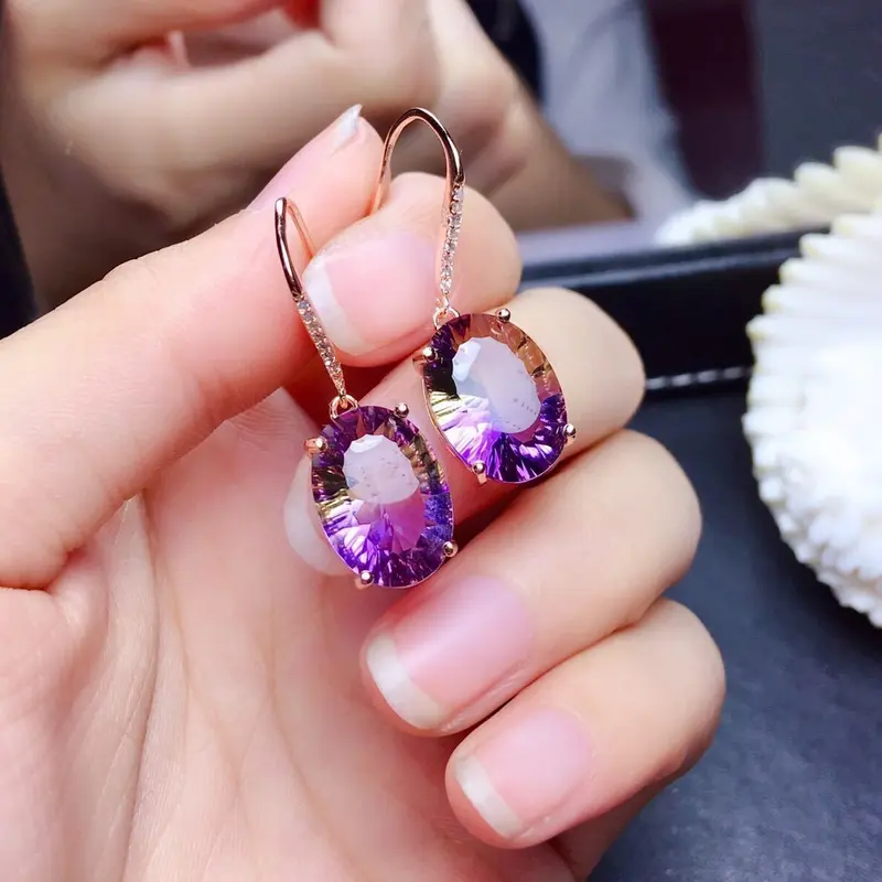 Hoa Tai Màu Tím Pha Lê Đơn Giản, Kim Bạc Mới, Giá Cả Phải Chăng, Thời Trang Cá Tính số lượng ít, Cao Cấp Và Thanh Lịch, Thời Trang Cổ Điển Hoang Dã, Được 731 Người Vinh Danh 6