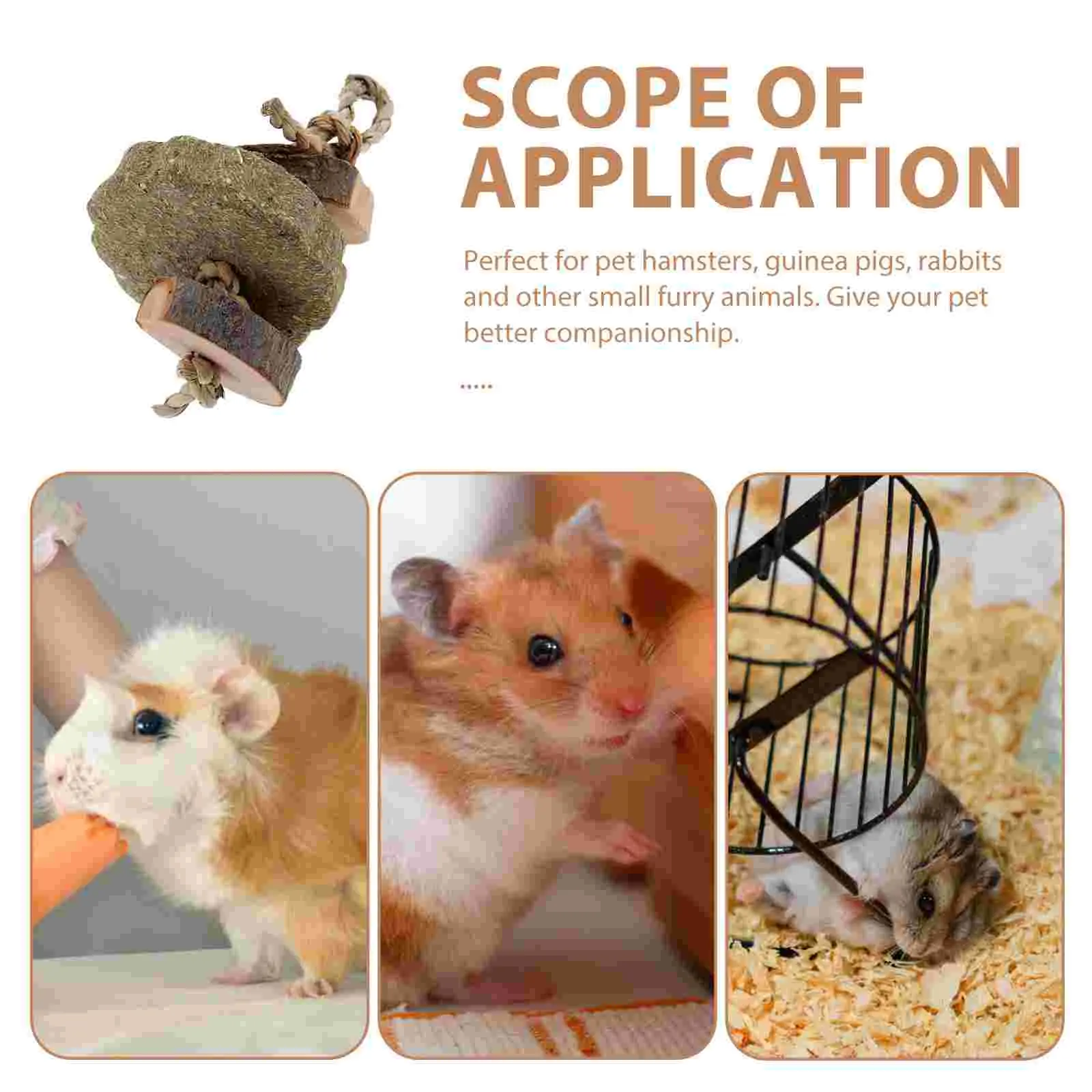 Rabbit Guinea Pig Toys Teeth Chewable Tablets Hamster Snacks Natural Bunny Molar Ball Wooden Teething Pet Biting Playthings