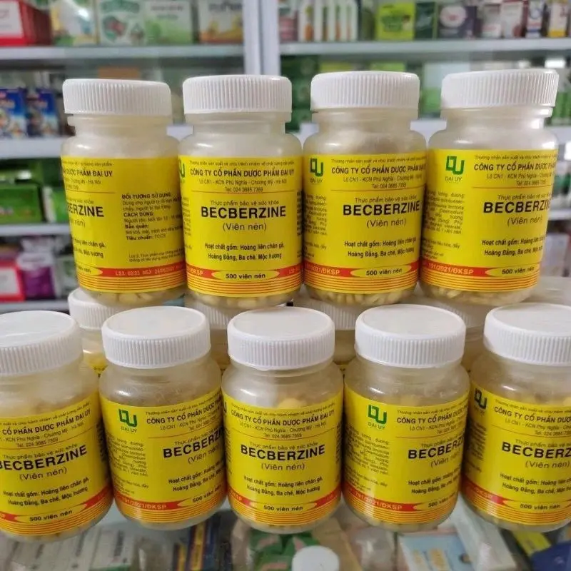 COMBO 10 LỌ BECBERZINE đại uy, Berberin Chai 500 viên