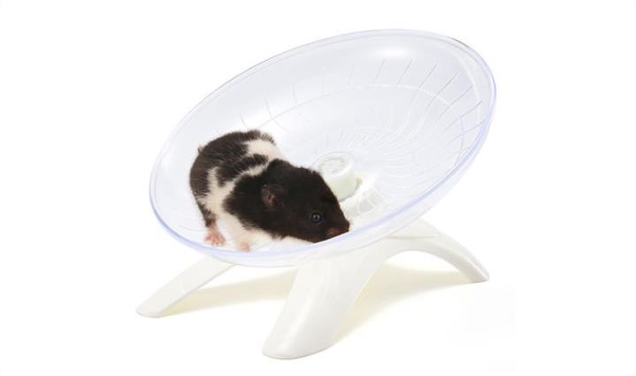 Product Introduction of Pet Hamster Running Wheel Mute Flying Saucer Steel Axle Wheel Running Disc Toys Cage Small Animal Hamster Accessories햄스터햄스터 쳇바퀴 5