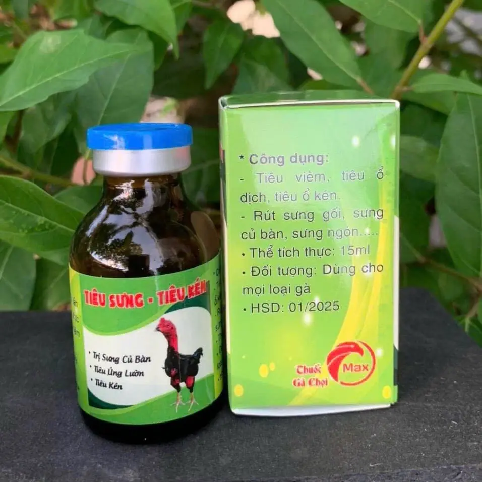 tiêu kén,sưng cụm bàn gà chọi