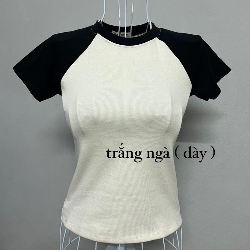 Áo raglan thun gân baby tee ( mẫu mới tay dài ) 3