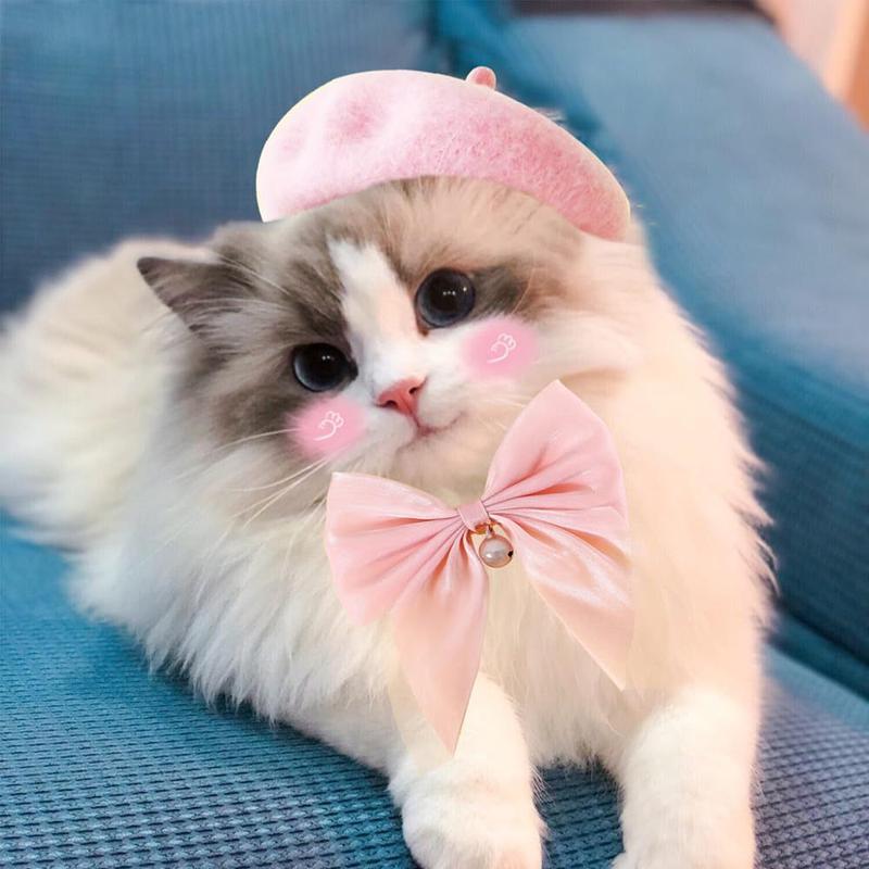 Pet Cat Dog Hat and Bow Collar Cute Soft Beret Adjustable Bow Collar Kitten Puppy Hat Collar Set Pet Accessories 3